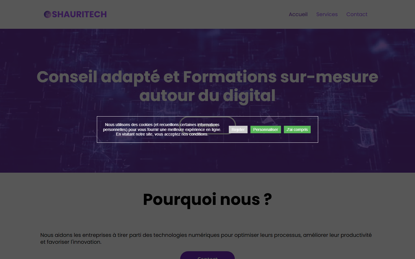Aperçu du site de ShauriTech (EI)