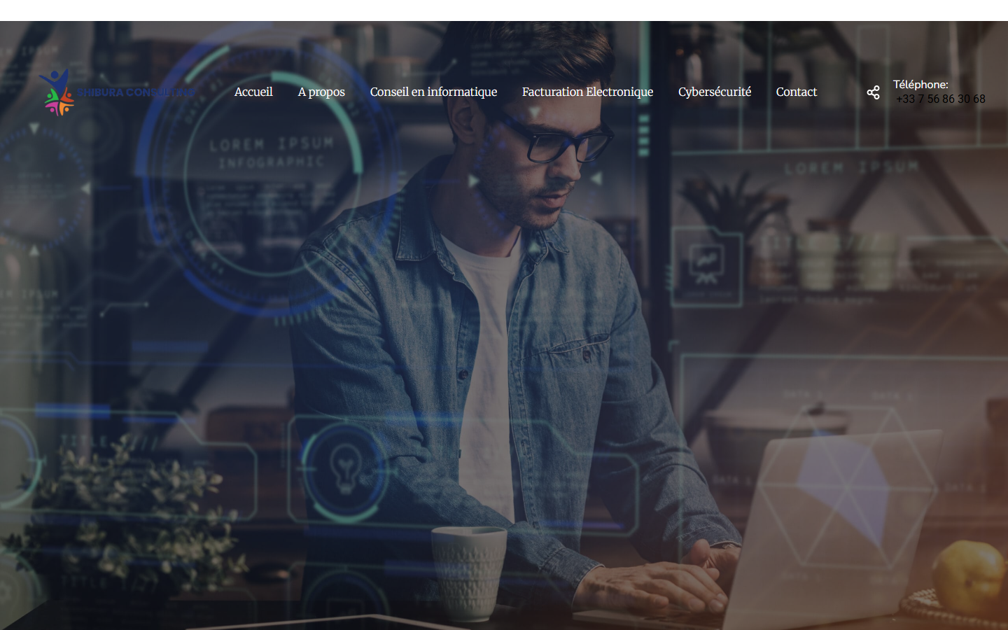 Aperçu du site de SHIBURA consulting