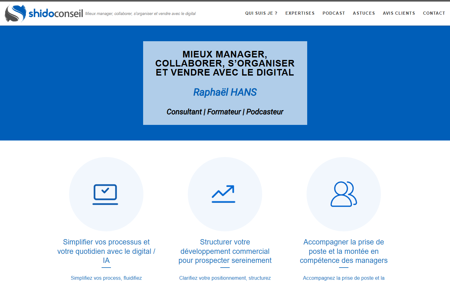 Aperçu du site de Shido Conseil