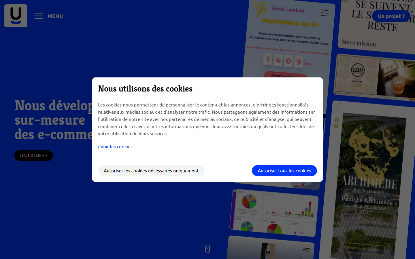Aperçu du site de SLAMUP