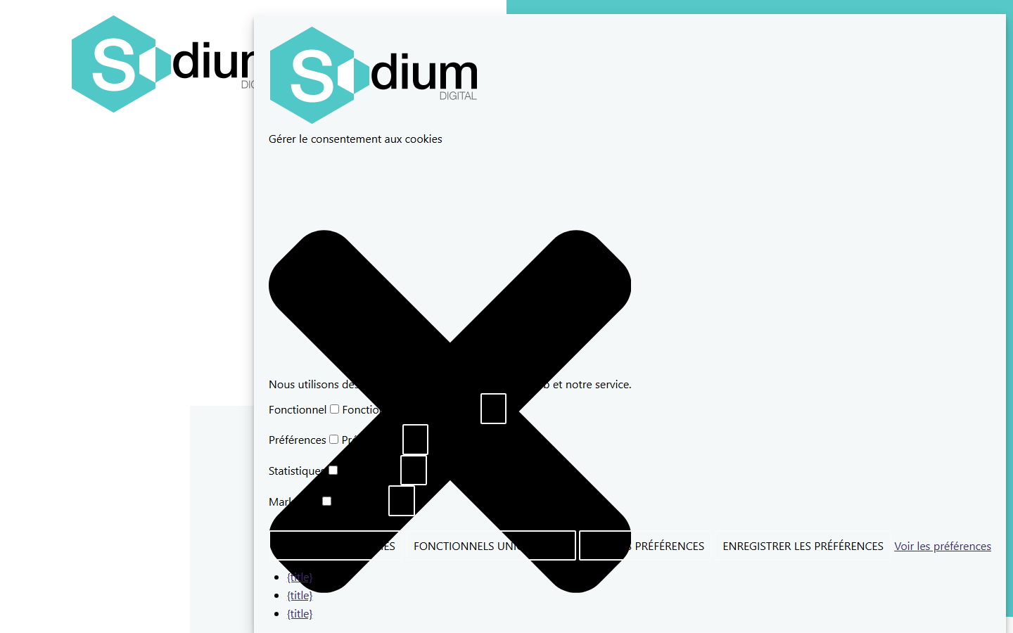 Aperçu du site de Sodium Digital