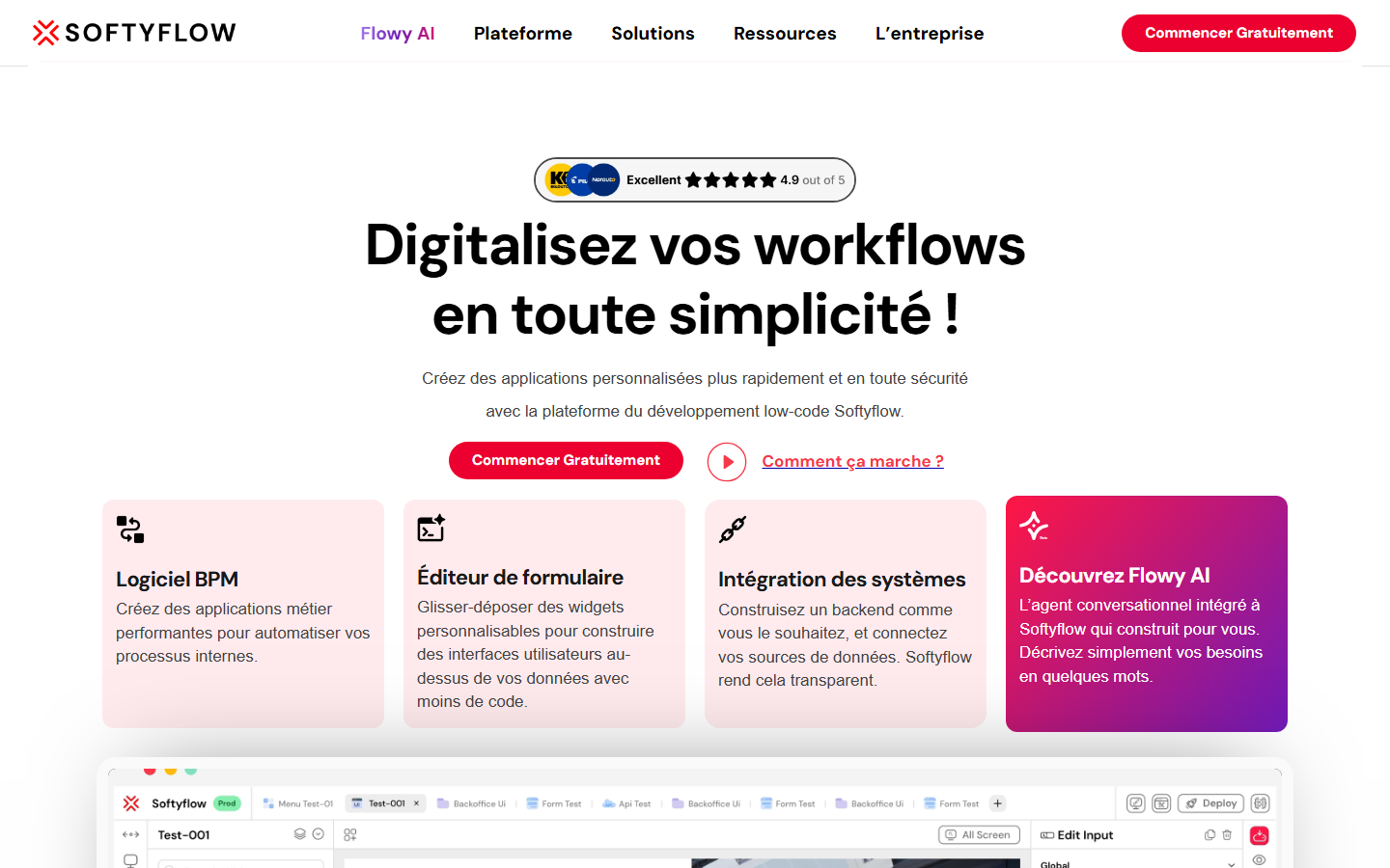 Aperçu du site de SOFTYFLOW