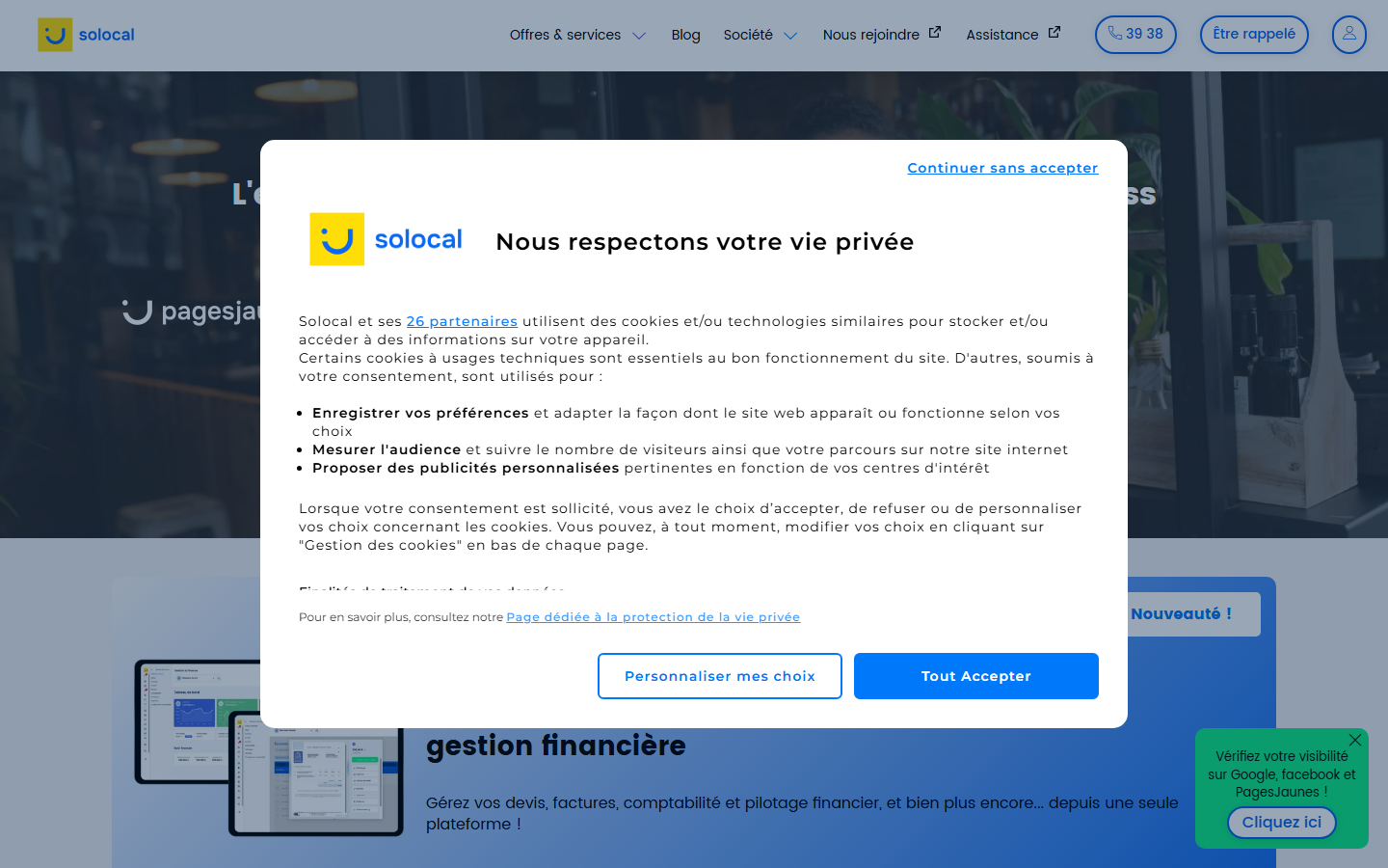 Aperçu du site de SOLOCAL GROUP