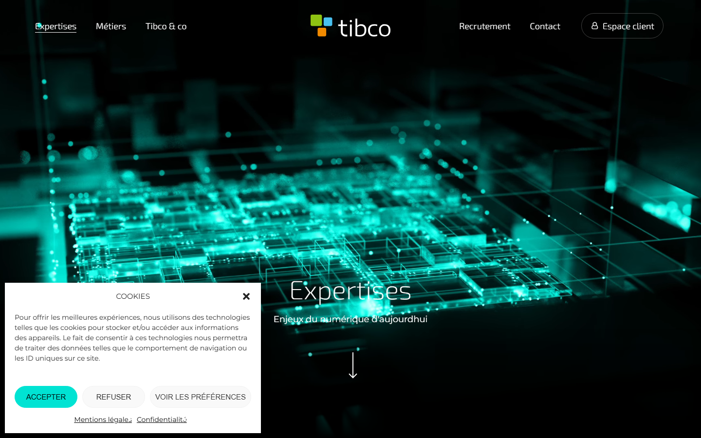 Aperçu du site de TIBCO SERVICES