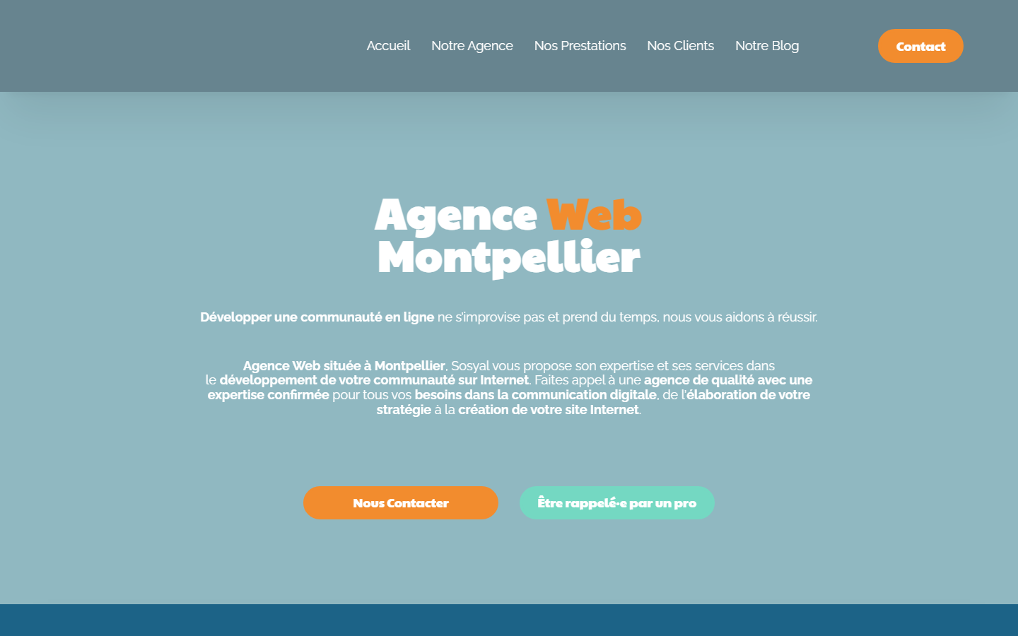 Aperçu du site de Sosyal Agence Web