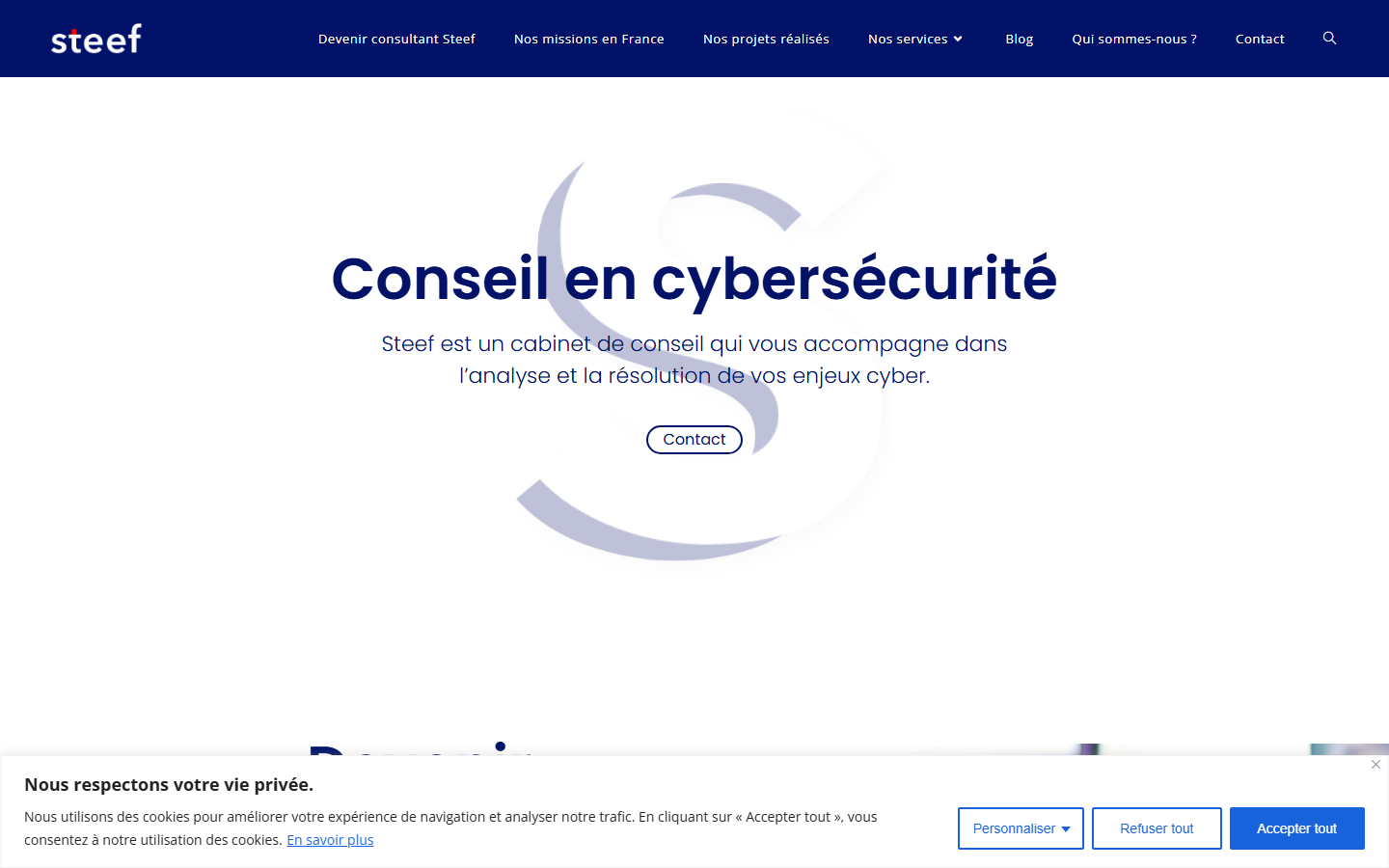 Aperçu du site de STEEF