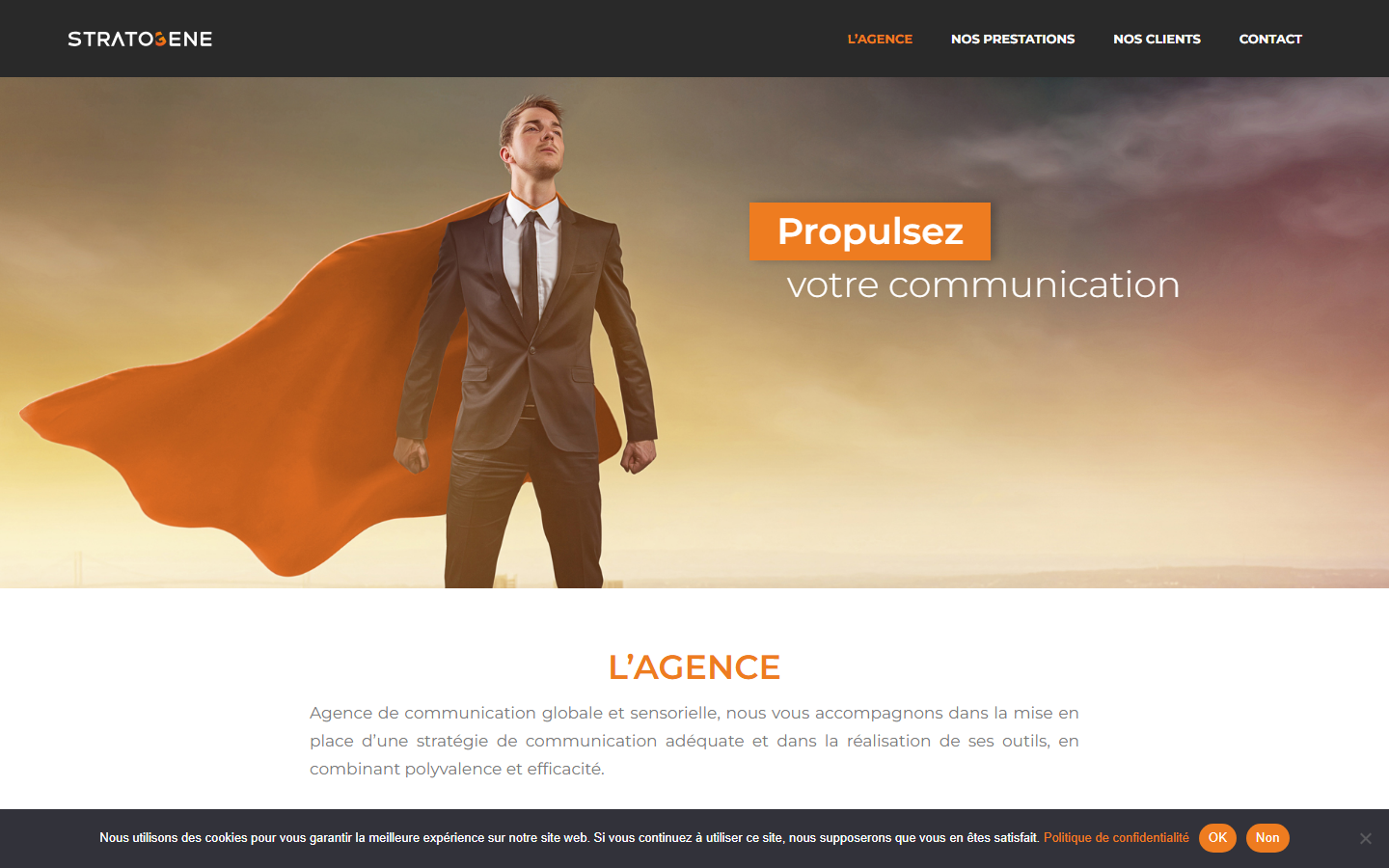 Aperçu du site de STRATOGENE