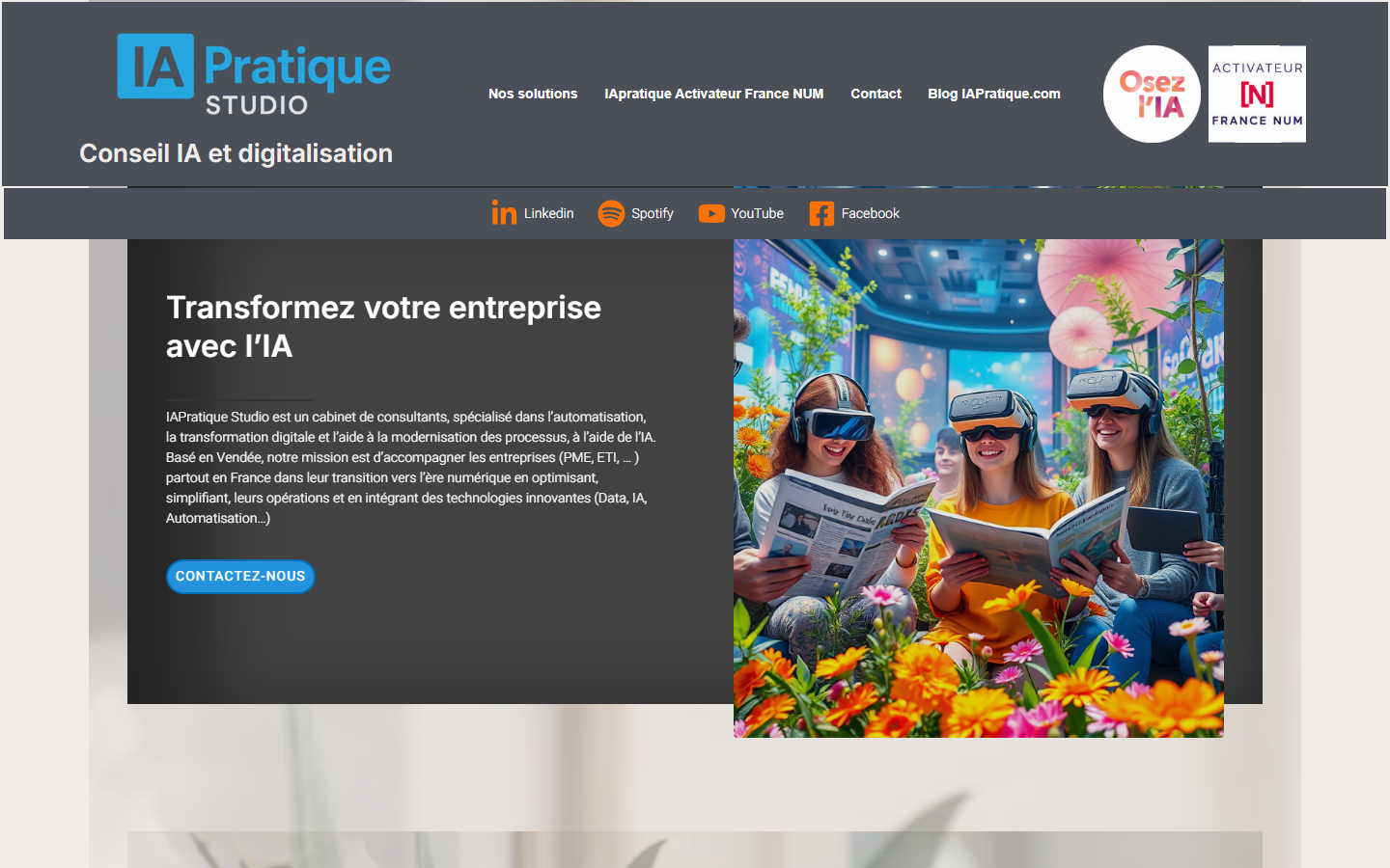 Aperçu du site de IAPratique