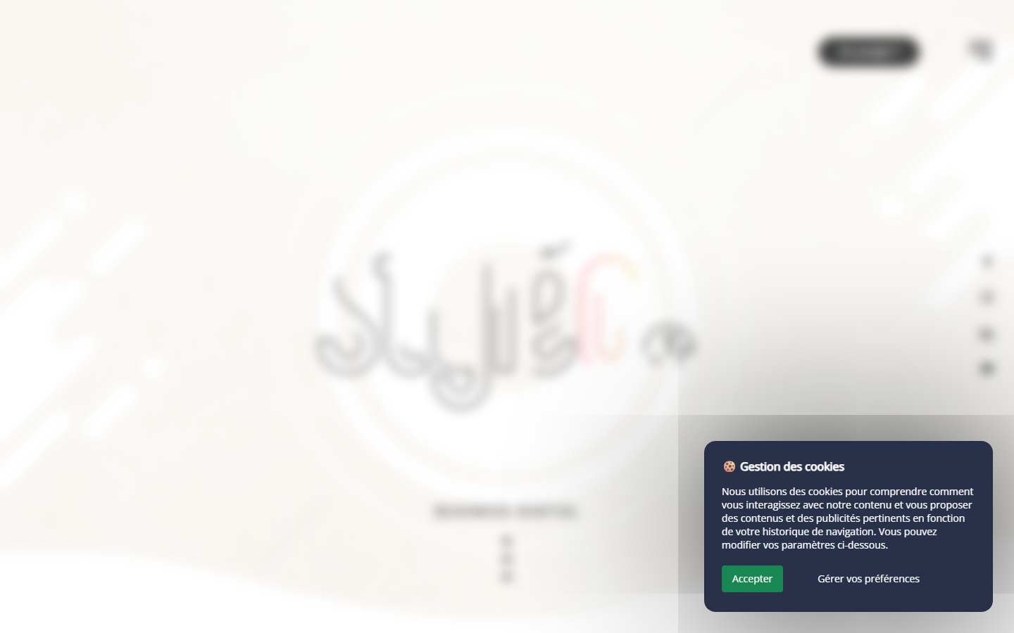 Aperçu du site de STYLEO