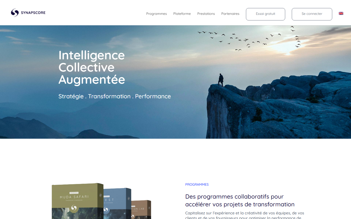 Aperçu du site de Synapscore