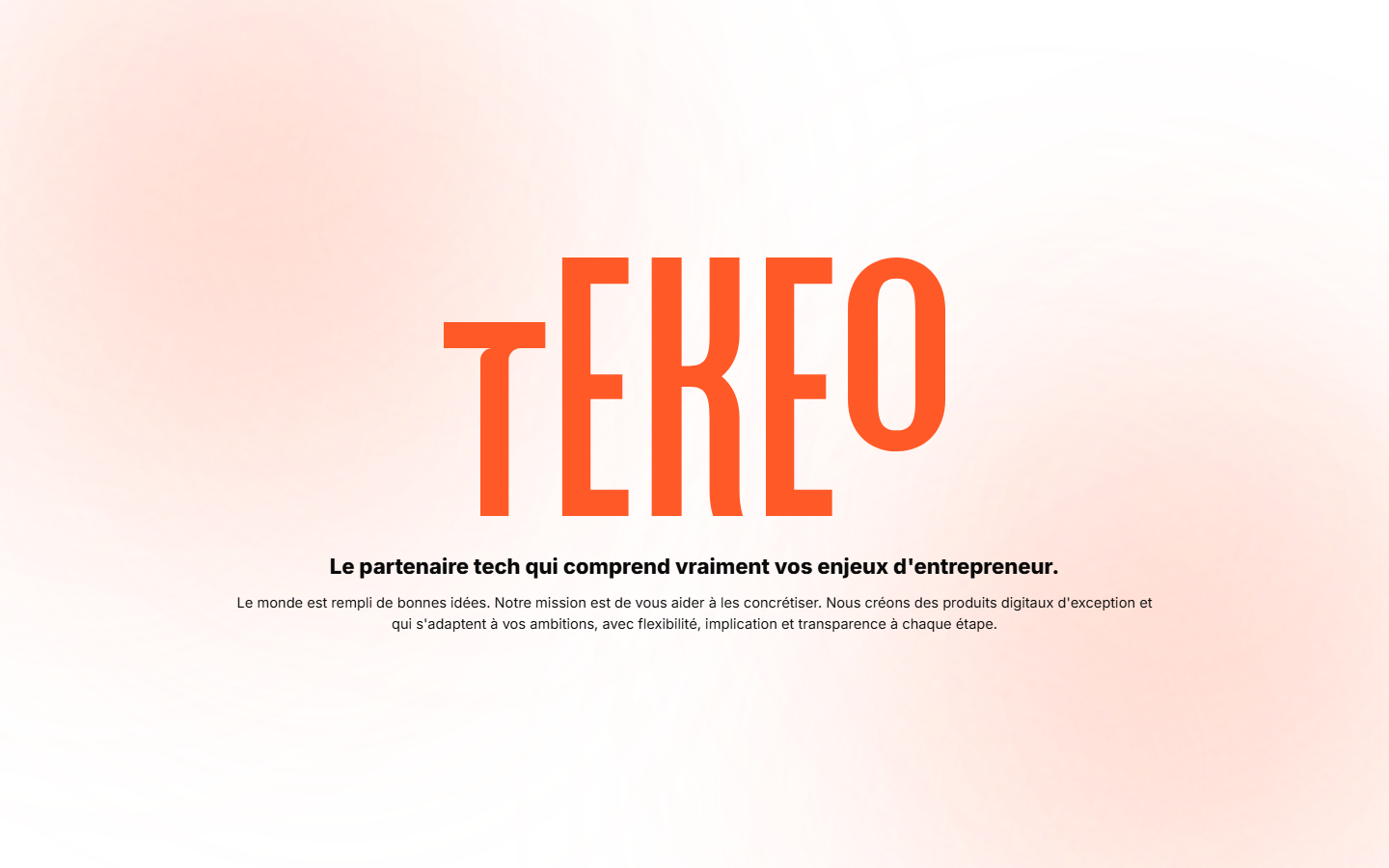 Aperçu du site de TEKEO