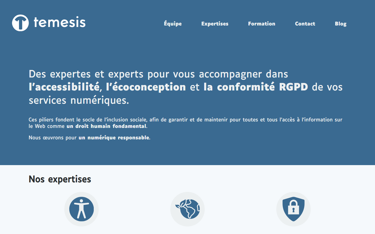 Aperçu du site de TEMESIS