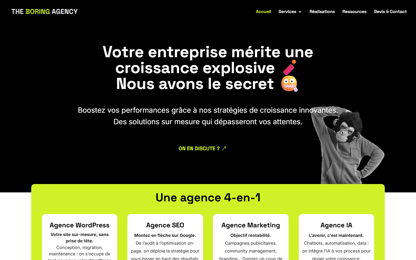 Aperçu du site de THE BORING AGENCY