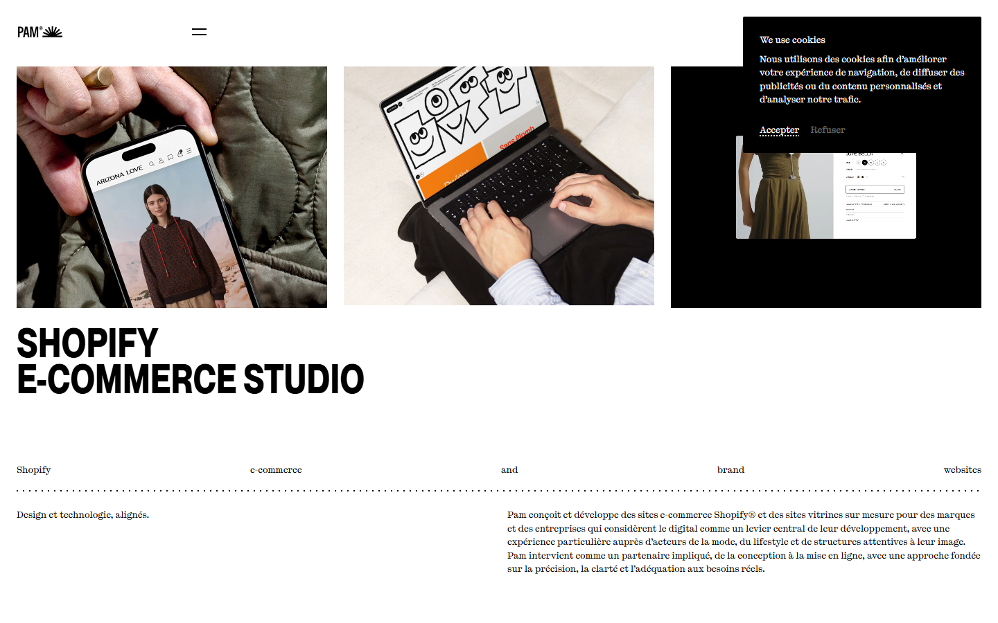 Aperçu du site de PAM STUDIO