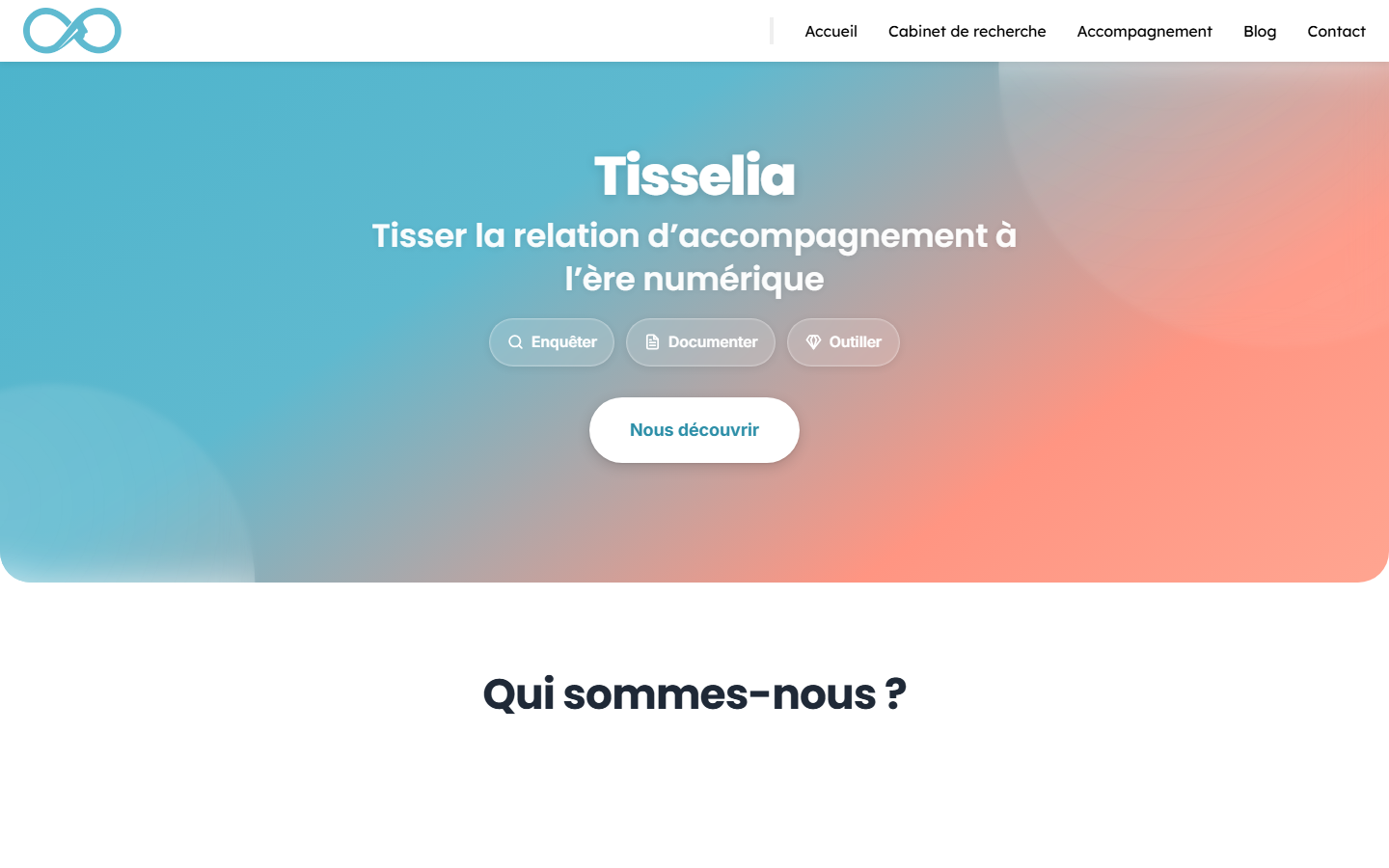 Aperçu du site de TISSELIA