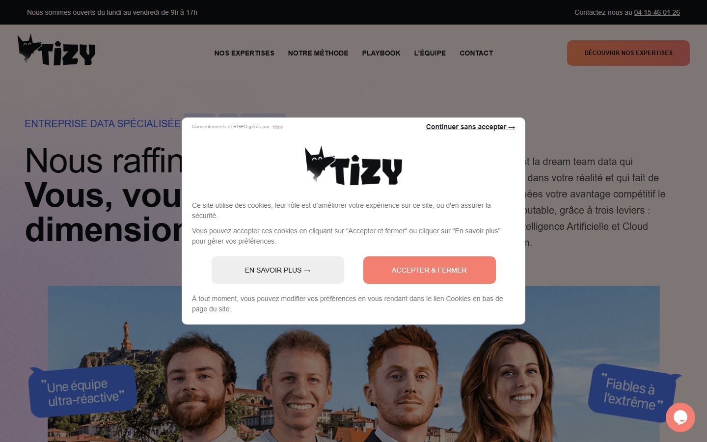 Aperçu du site de TIZY