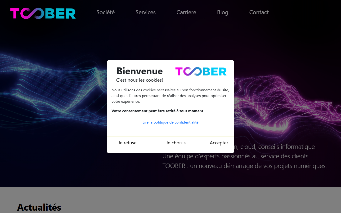 Aperçu du site de TOOBER