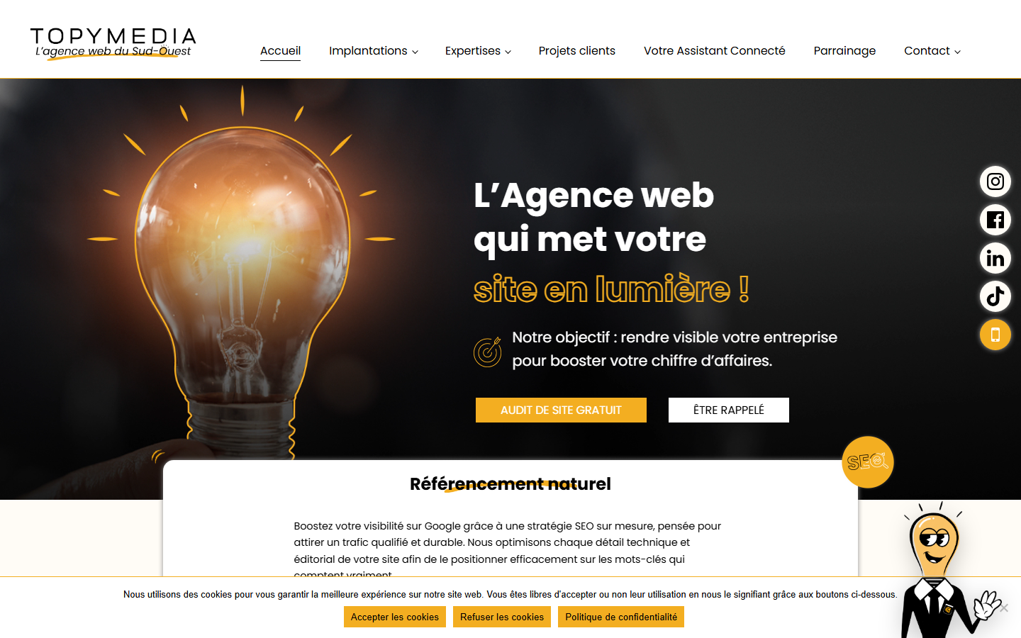 Aperçu du site de TOPYMEDIA