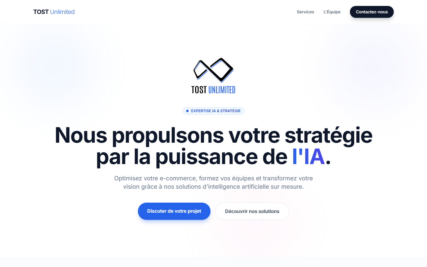 Aperçu du site de TOST Unlimited
