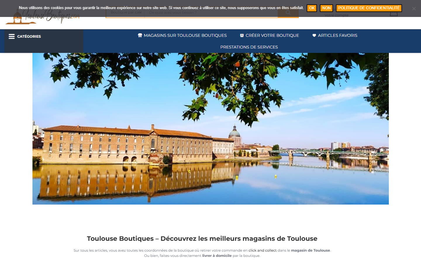 Aperçu du site de Jacques Estanove