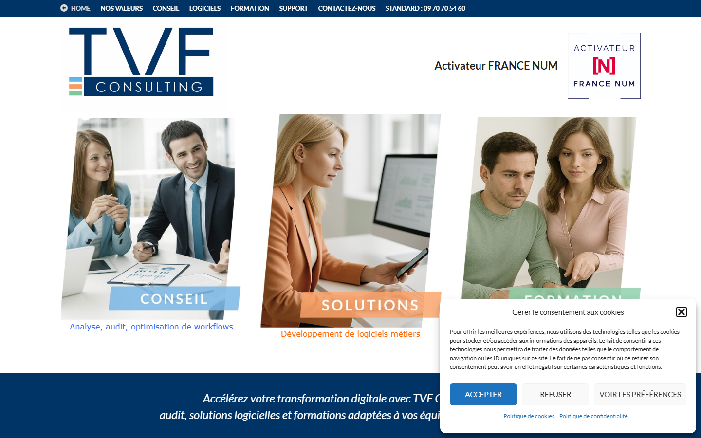 Aperçu du site de Tvf Consulting Sas