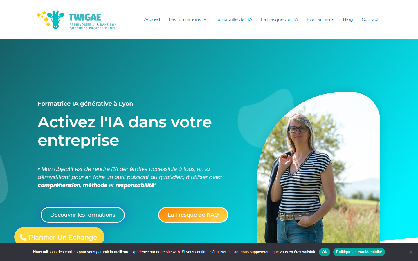 Aperçu du site de TWIGAE