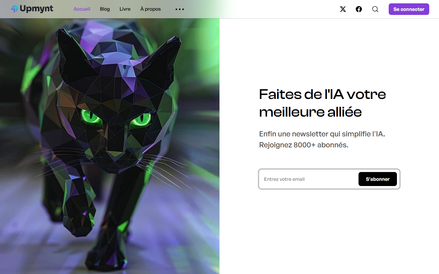 Aperçu du site de UPMYNT
