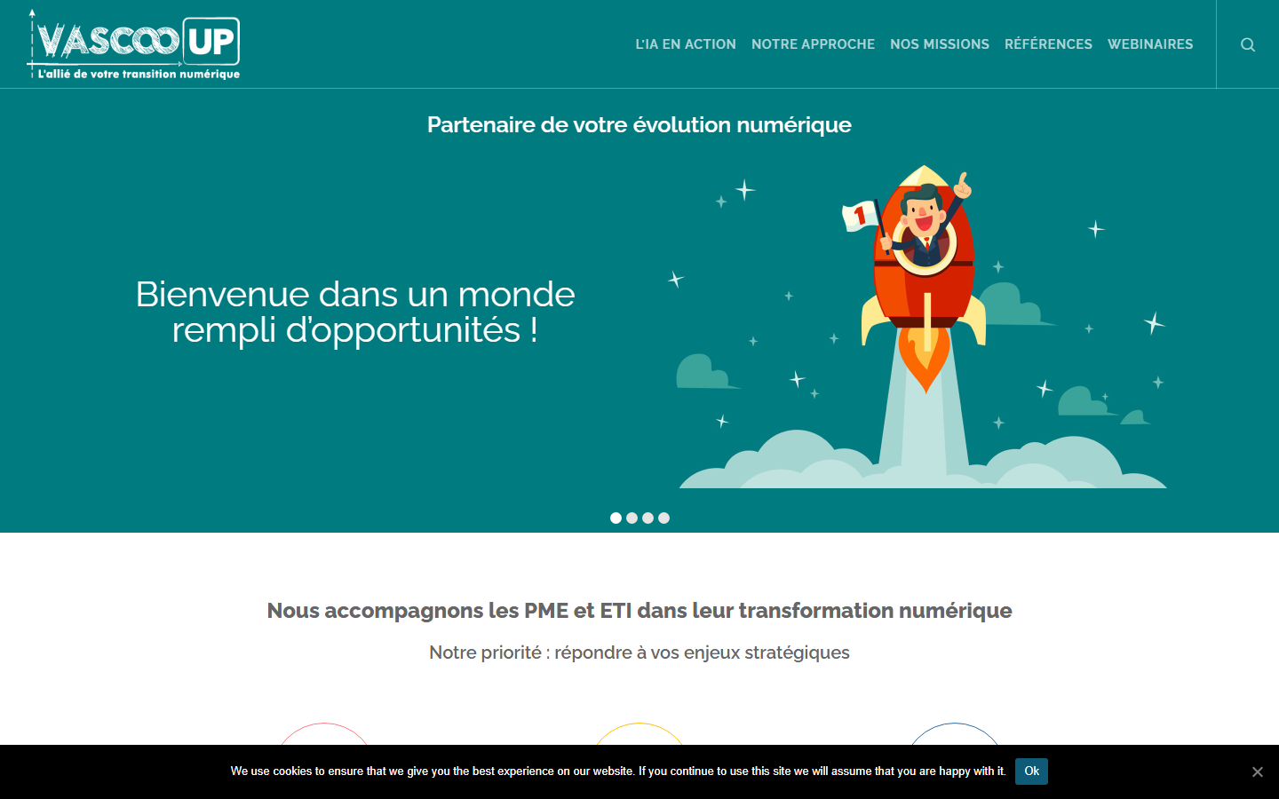 Aperçu du site de Vascoo Up
