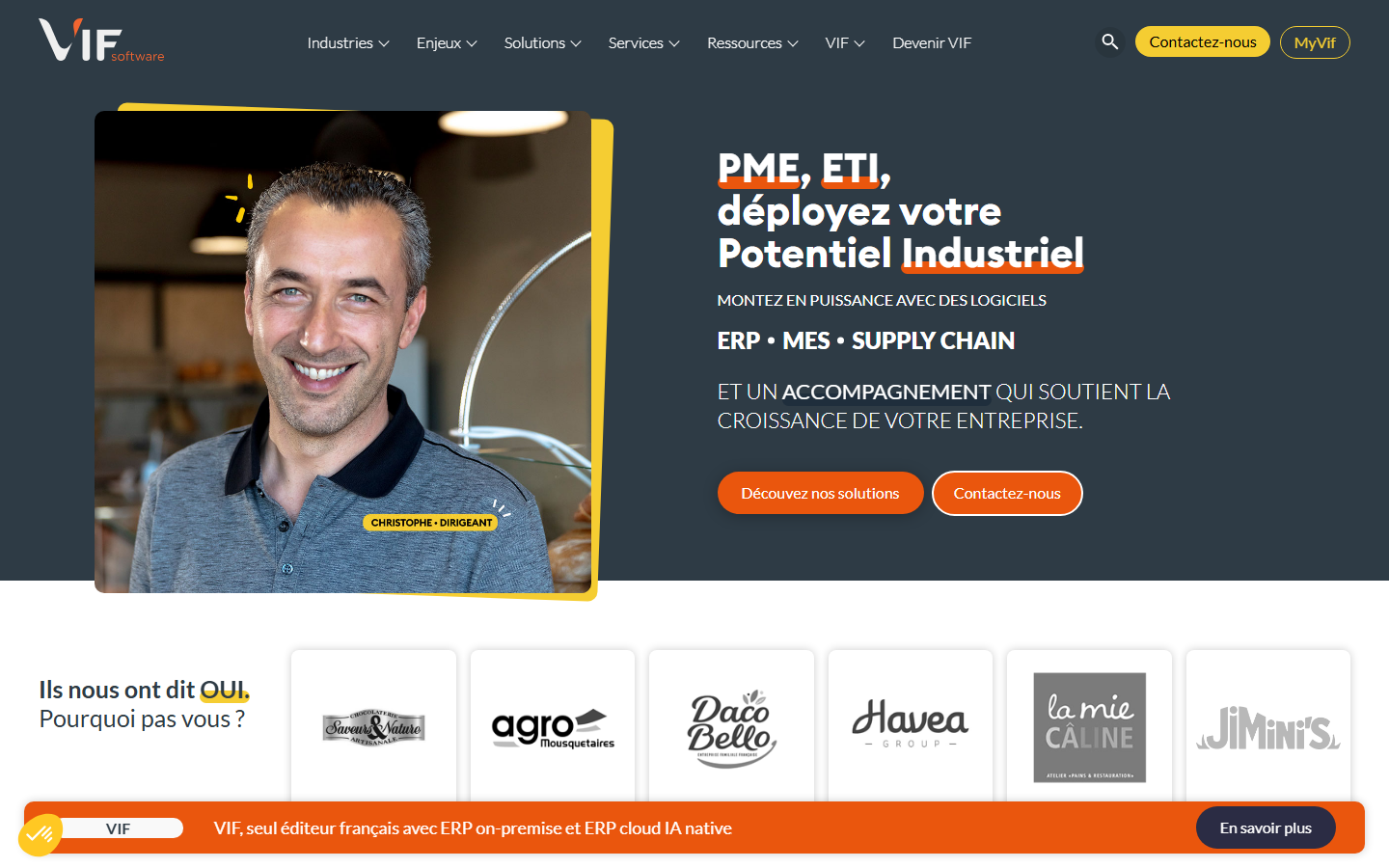 Aperçu du site de VIF Software