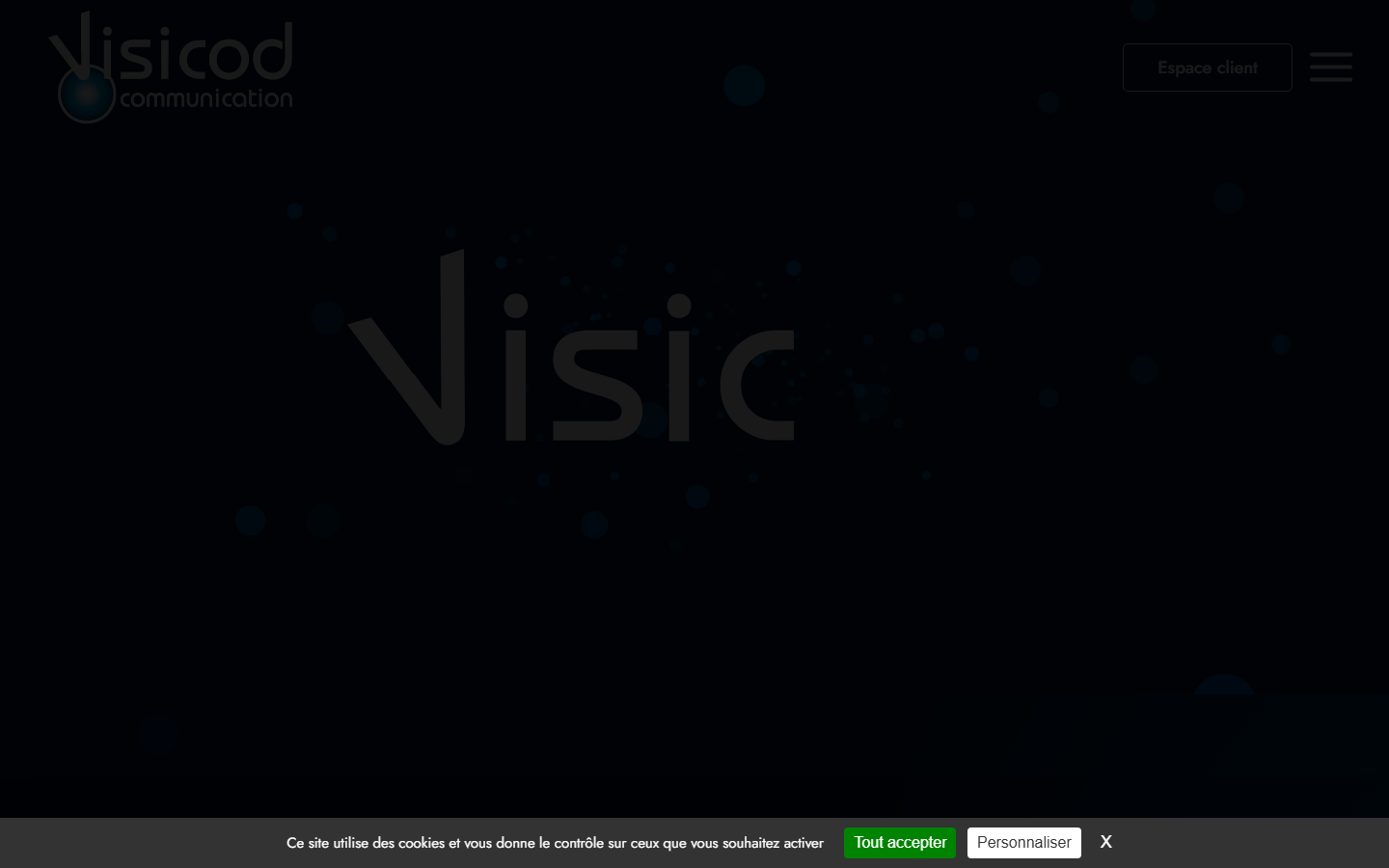 Aperçu du site de VISICOD