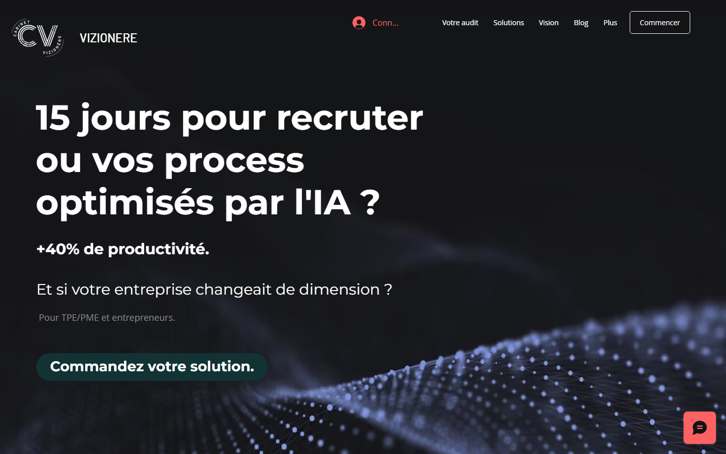 Aperçu du site de VIZIONERE