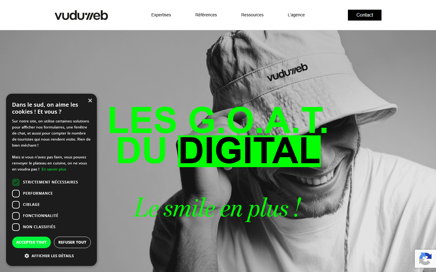 Aperçu du site de VU DU WEB