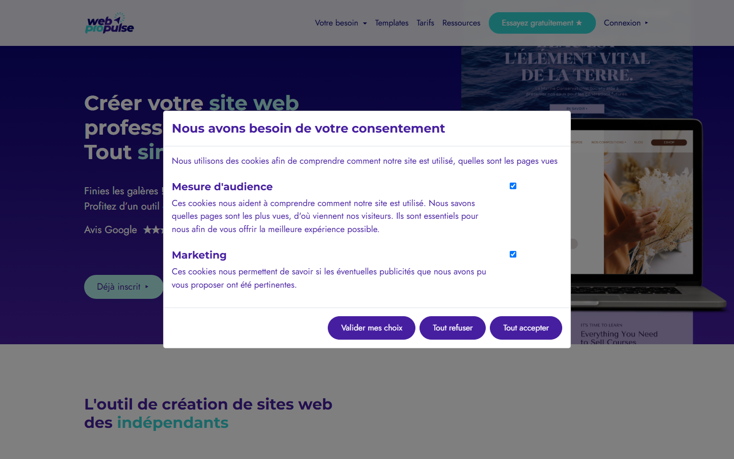 Aperçu du site de Web ProPulse
