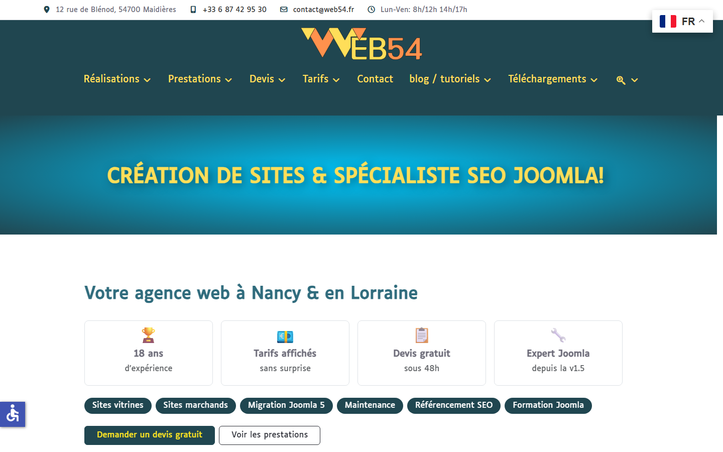 Aperçu du site de web54