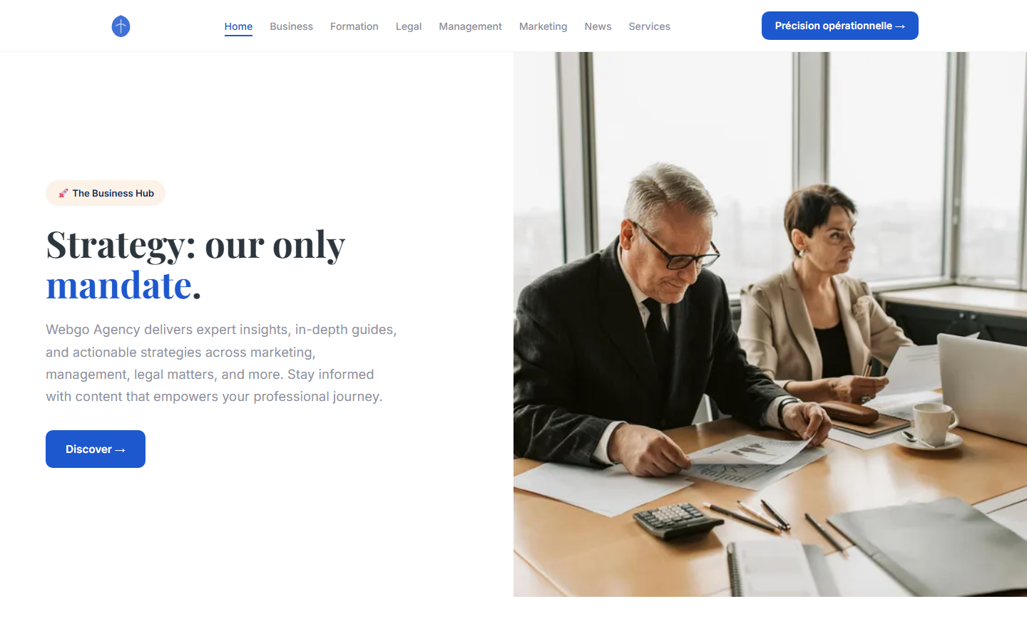 Aperçu du site de WEBGOAGENCY