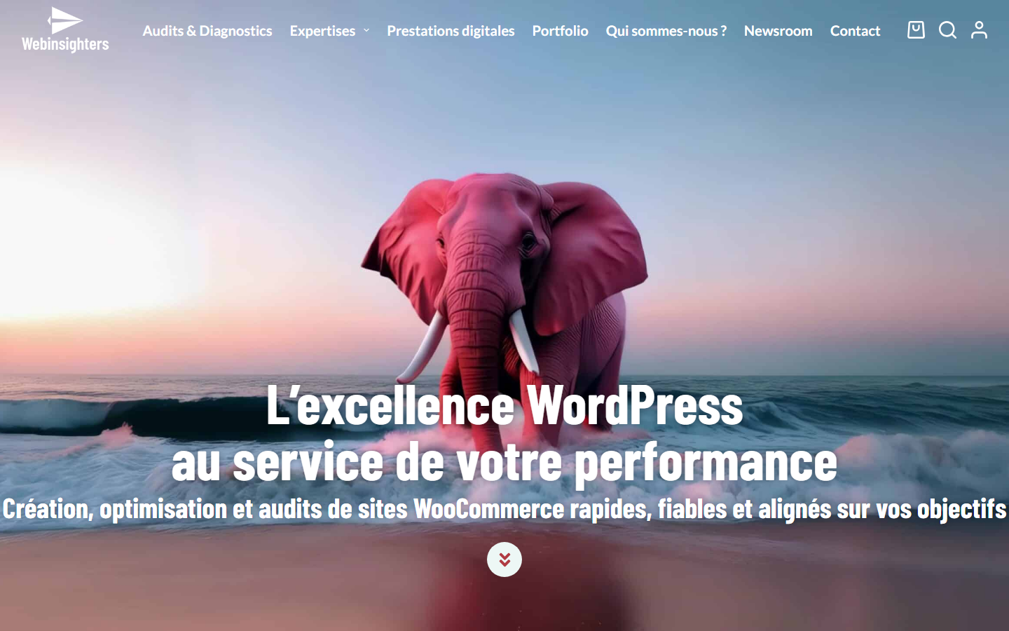 Aperçu du site de Webinsighters