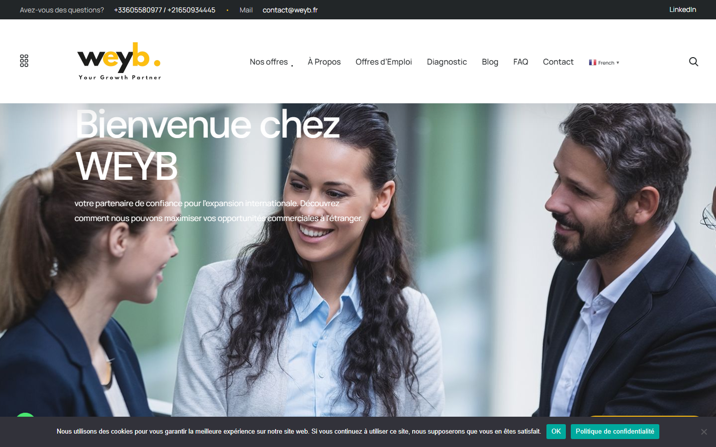 Aperçu du site de weyb