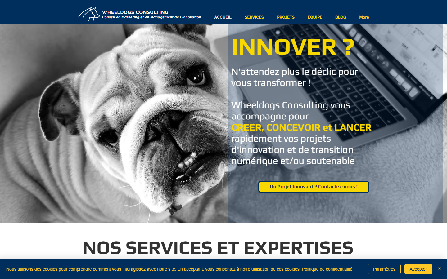 Aperçu du site de Wheeldogs Consulting