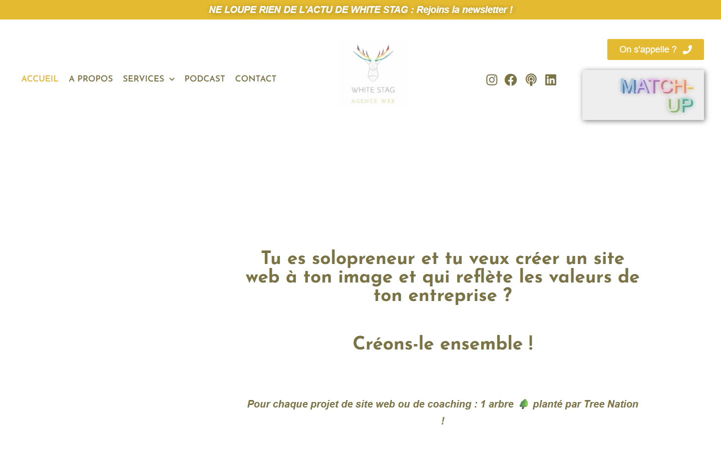 Aperçu du site de WHITE STAG - AGENCE WEB