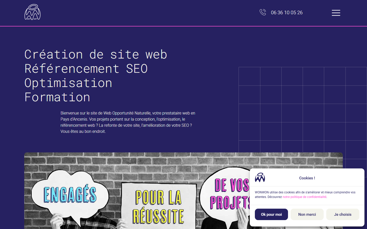 Aperçu du site de Web Opportunité Naturelle wonwon