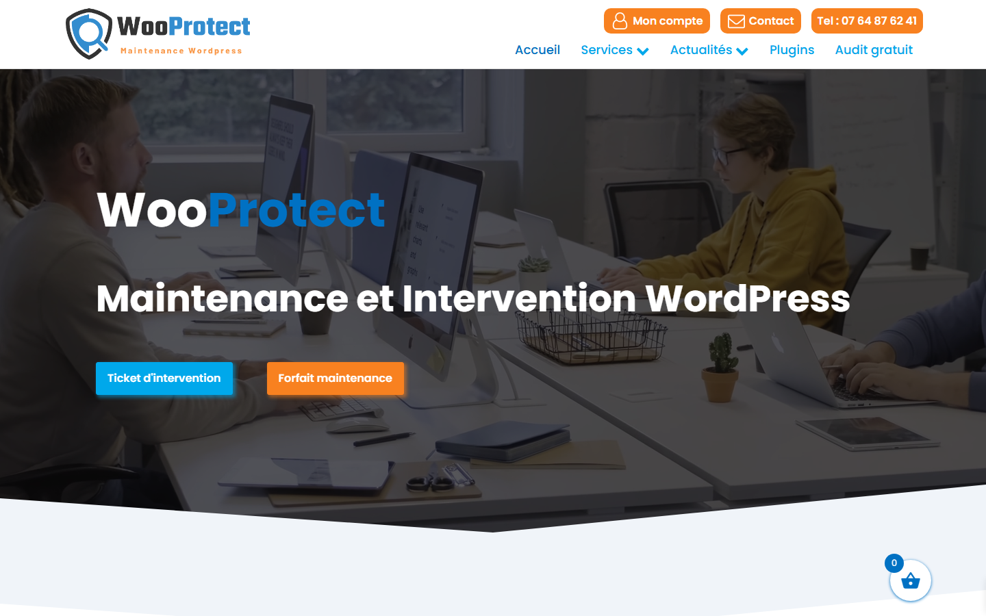 Aperçu du site de WooProtect