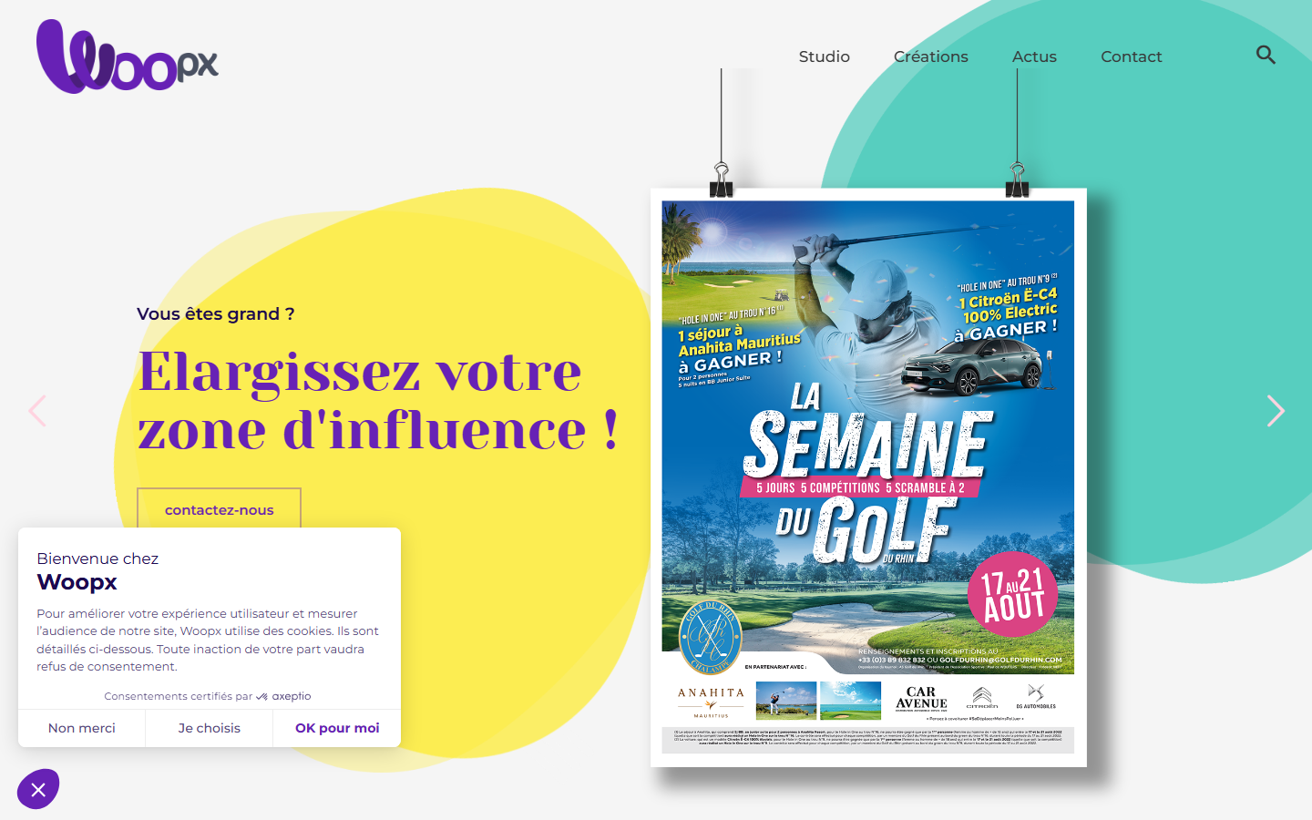 Aperçu du site de WOOPX