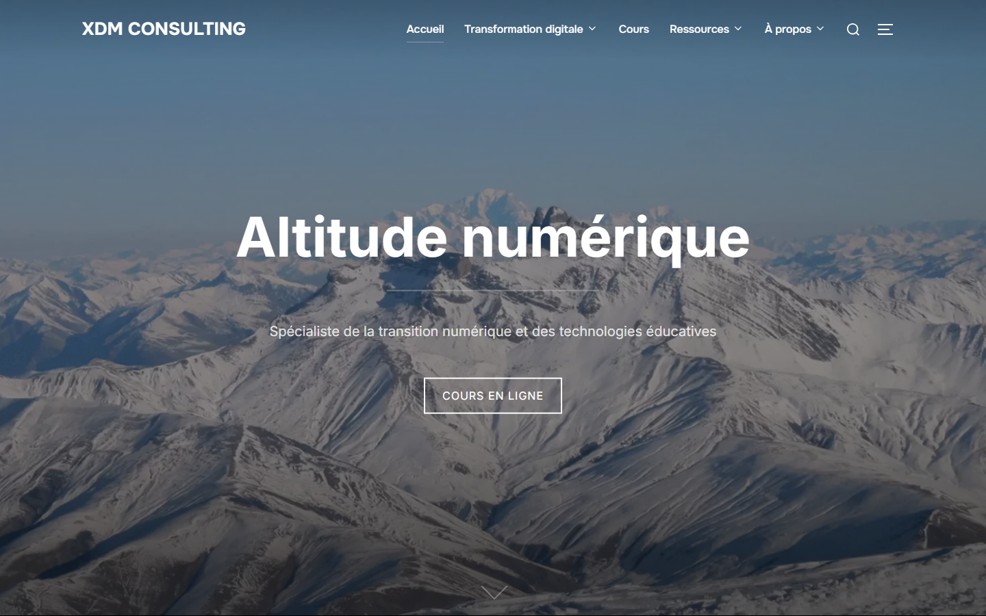 Aperçu du site de XDM CONSULTING