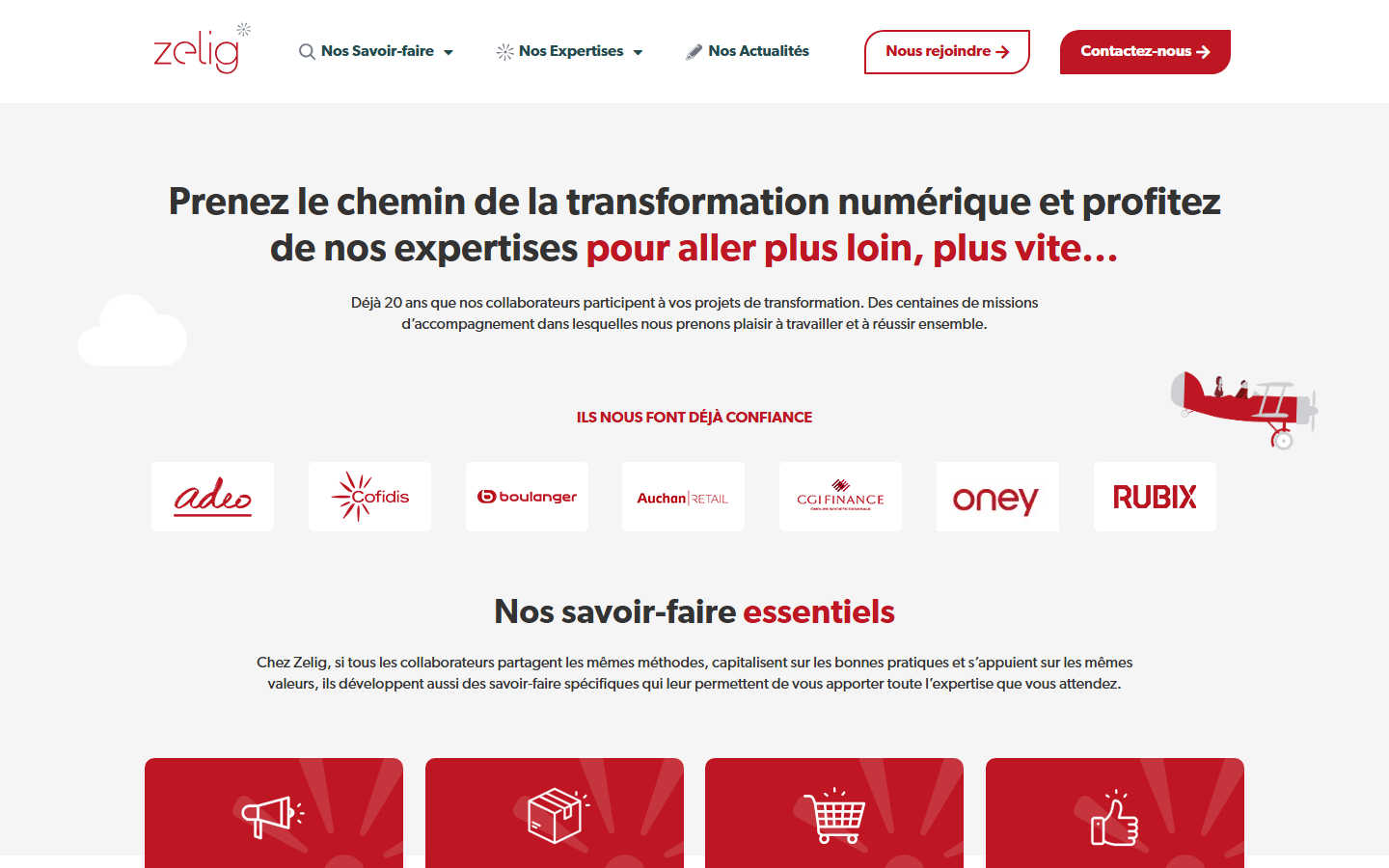 Aperçu du site de ZELIG CONSULTANTS